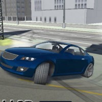 Wild Race: 3D Drift Game